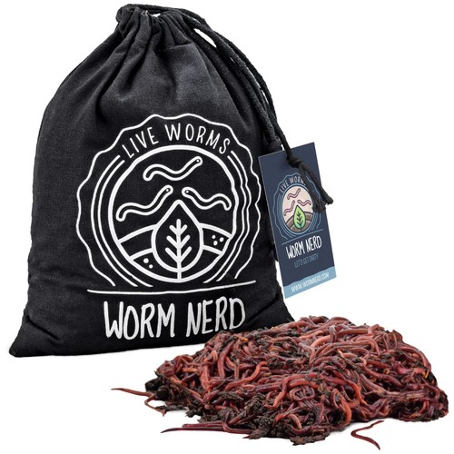 Live composting red wiggler - live,